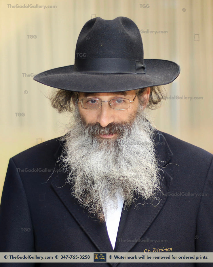 Rav Aryeh Berenstein 3 - רב ארי' ברנשטיין Profile 2