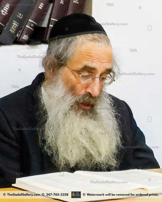 Rav Aryeh Berenstein 6 - רב ארי' ברנשטיין Learning 2