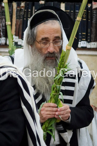 Rav Aryeh Berenstein - רב ארי' ברנשטיין Sukkos