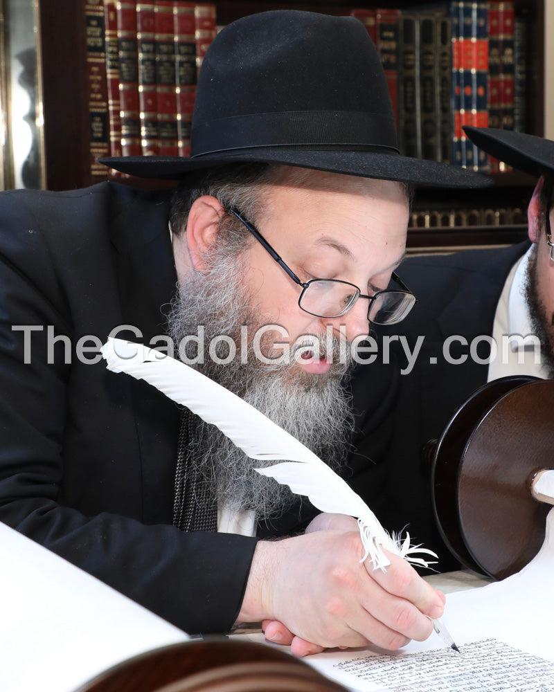 Rav Ephraim Berger Sukkah Poster