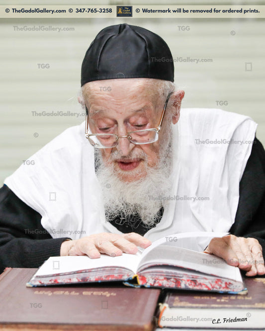 Rav Meir Tzvi Bergman -1- רב מאיר צבי ברגמן