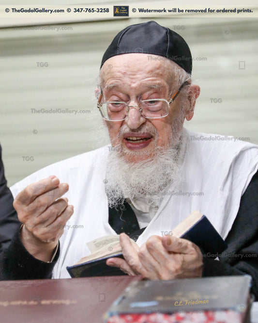 Rav Meir Tzvi Bergman -3- רב מאיר צבי ברגמן