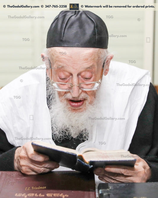 Rav Meir Tzvi Bergman -4- רב מאיר צבי ברגמן