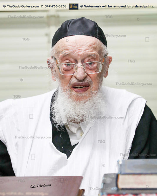 Rav Meir Tzvi Bergman -5- רב מאיר צבי ברגמן