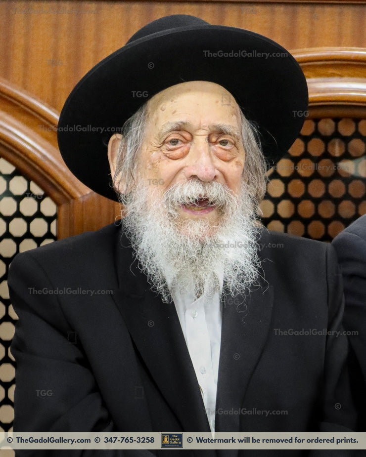 Rav Zev Berlin -1- רב זאב ברלין