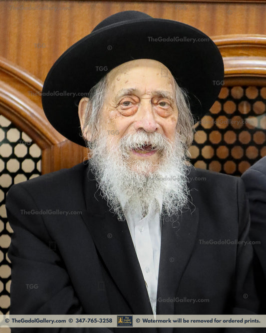 Rav Zev Berlin -1- רב זאב ברלין