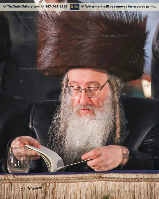Rav Yitzchak Yosef Dov Rabinowitz, Biala Rebbe -2- האדמו"ר מביאלא ירושלים