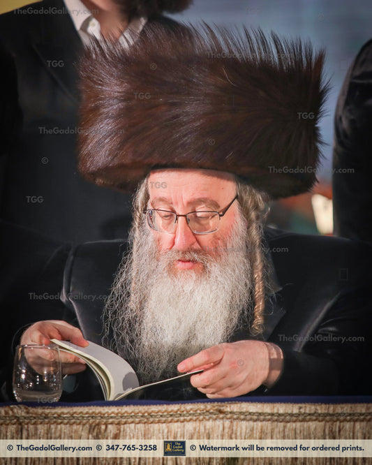 Rav Yitzchak Yosef Dov Rabinowitz, Biala Rebbe -2- האדמו"ר מביאלא ירושלים