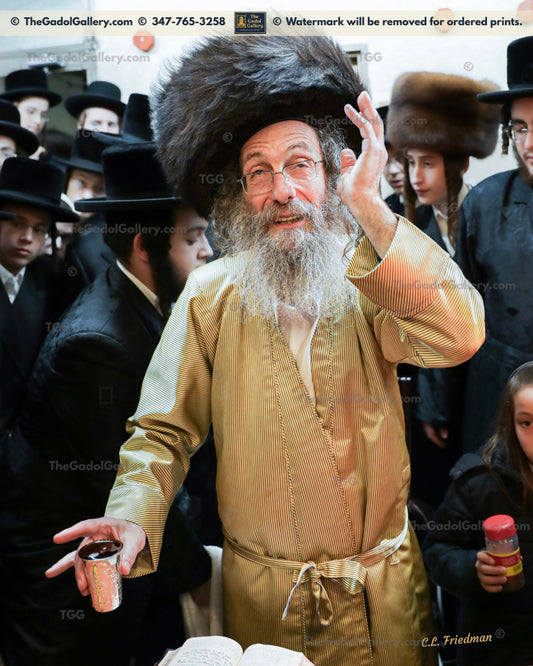 Rav Elimelech Biderman -4- רב מיילך בידערמאן