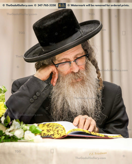 Rav Nachman Biderman - 4 - רב נחמן בידרמן