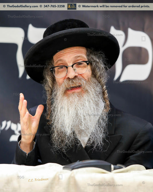 Rav Nachman Biderman - 6 - רב נחמן בידרמן