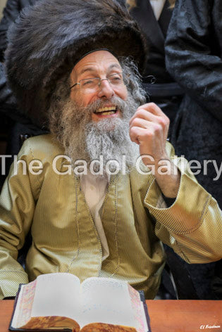 Rav Elimelech Biderman -1- רב מיילך בידערמאן Sukkah Poster
