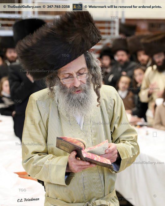 Rav Elimelech Biderman -2- רב מיילך בידערמאן