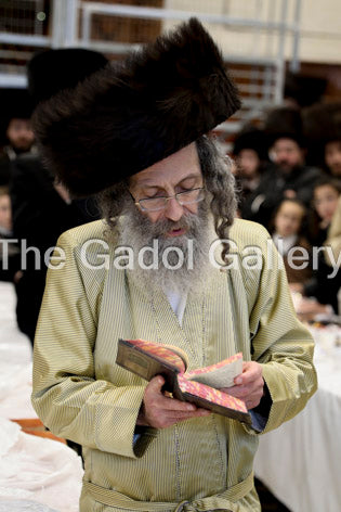 Rav Elimelech Biderman -2- רב מיילך בידערמאן Sukkah Poster