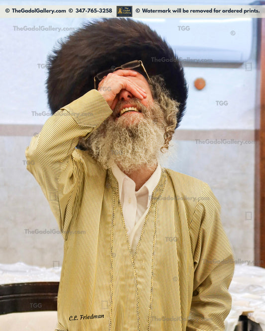Rav Elimelech Biderman -3- רב מיילך בידערמאן