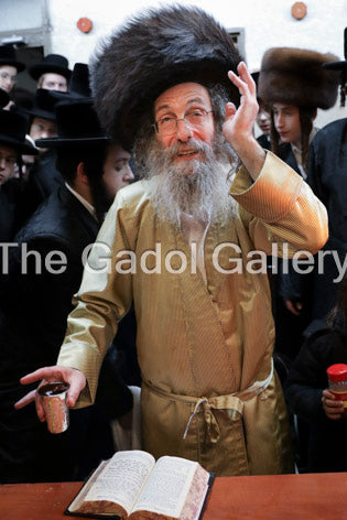 Rav Elimelech Biderman -4- רב מיילך בידערמאן Sukkah Poster