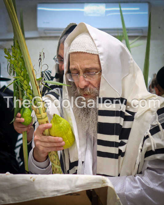 Rav Elimelech Biderman - Sukkos - רב מיילך בידערמאן Sukkah Poster