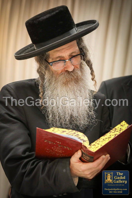 Rav Nachman Biderman - 3 - רב נחמן בידרמן