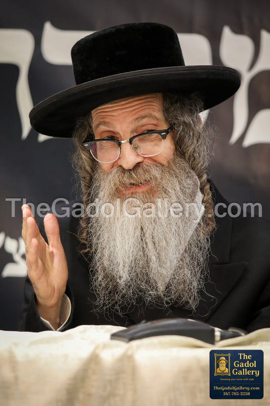 Rav Nachman Biderman - 5 - רב נחמן בידרמן