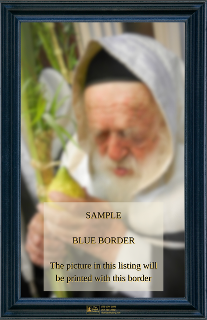The Vizhnitz Rebbe Sukkah Poster