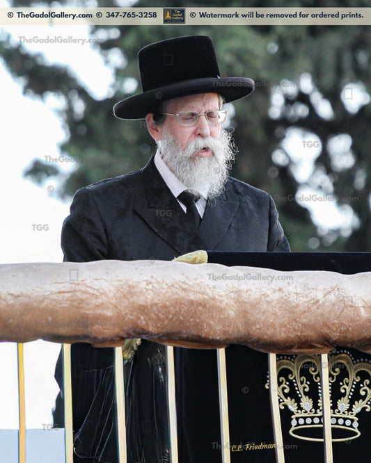 The Boyaner Rebbe, Rav Nachum Dov Brayer - 2 - האדמו"ר מבאיאן