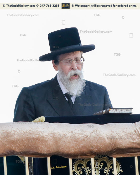 The Boyaner Rebbe, Rav Nachum Dov Brayer - 3 - האדמו"ר מבאיאן