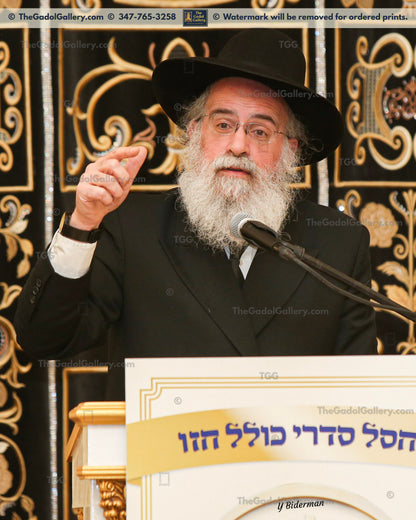 Rav Dovid Breslauer -1- רב דוד ברעסלויער