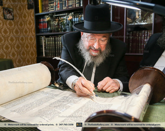 Rav Chaim Bressler - 3