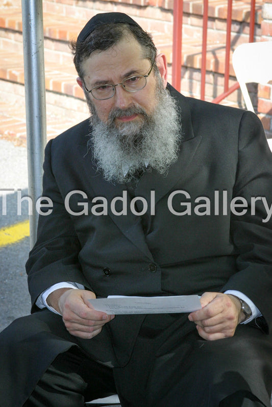 Rav Chaim Bressler Sukkah Poster