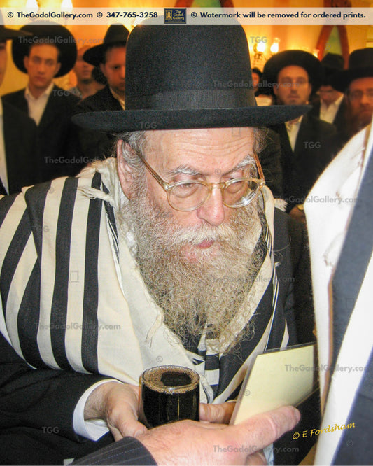 Rav Shlomo Brevda -2- רב שלמה ברוודא