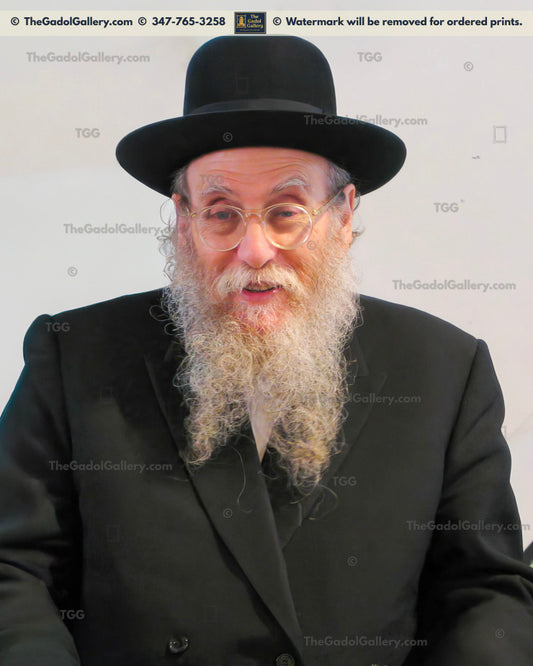 Rav Shlomo Brevda -3- רב שלמה ברוודא