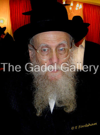Rav Shlomo Brevda -1- רב שלמה ברוודא Sukkah Poster