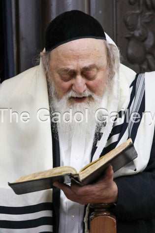 Rav Chaim Brim -1 Sukkah Poster
