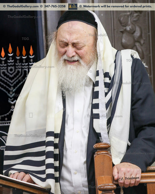Rav Chaim Brim -2