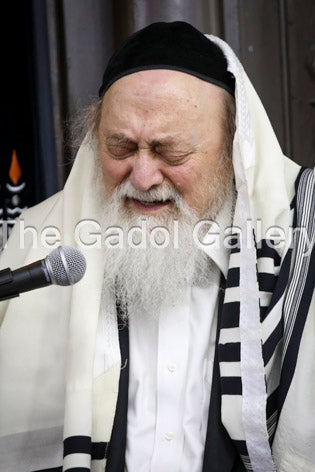 Rav Chaim Brim -2 Sukkah Poster