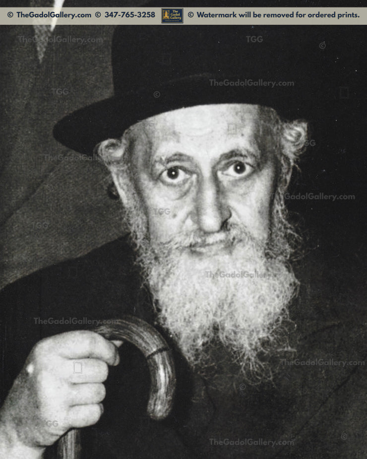 The Brisker Rav