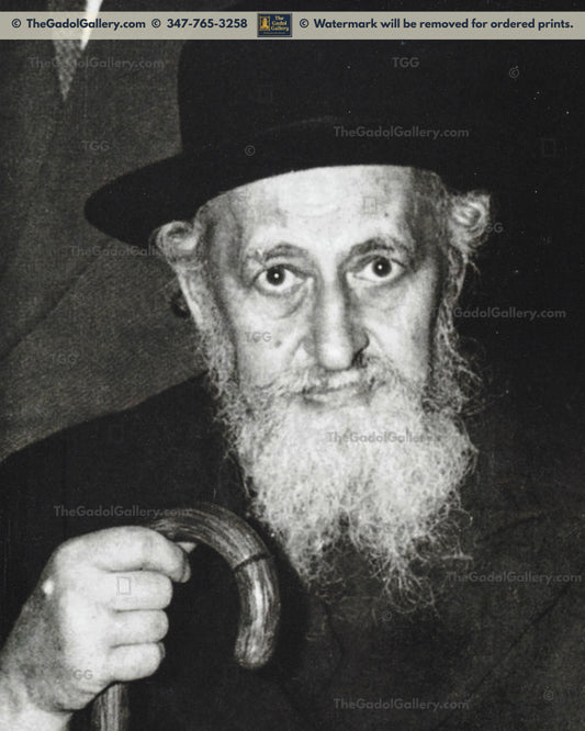 The Brisker Rav