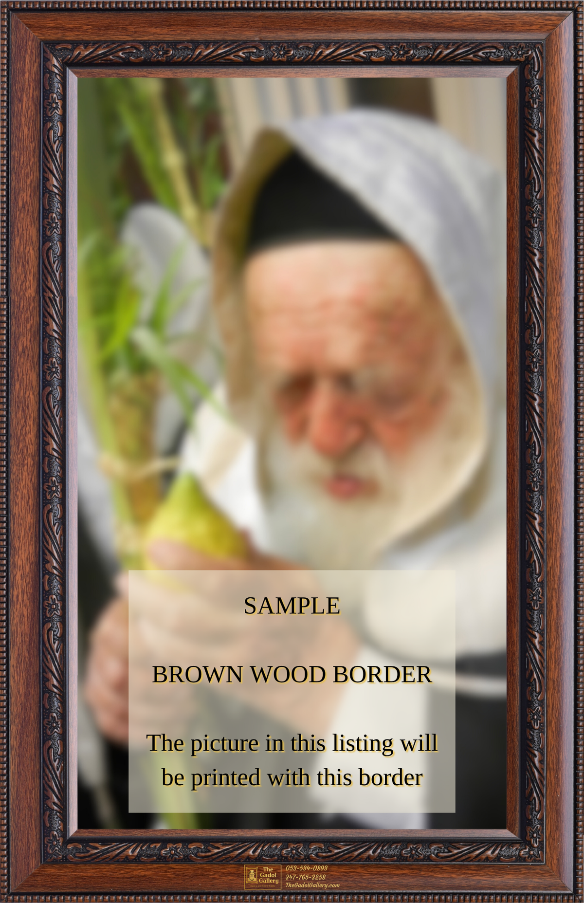 Rav Shlomo Halioua Lulav & Esrog - Sukkah Poster