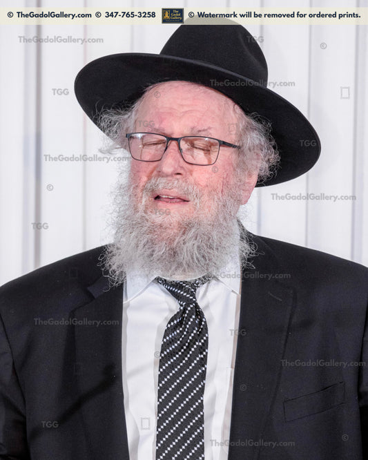 Rav Elya Brudny -4- רב אליהו ברודנא