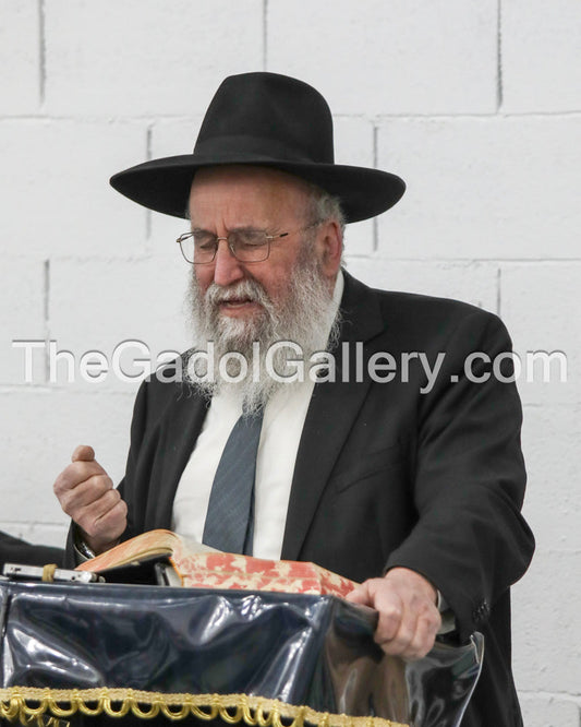 Rav Abba Brudny - 2 Sukkah Poster