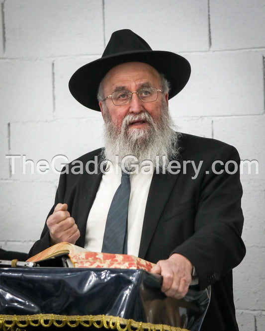 Rav Abba Brudny - 3 Sukkah Poster