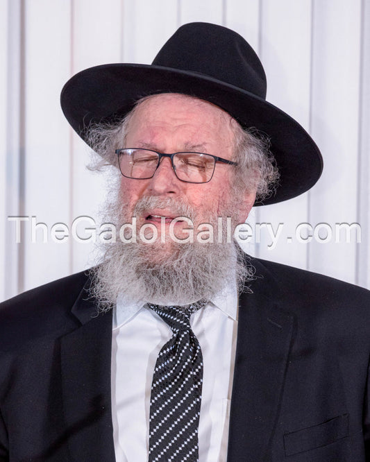 Rav Elya Brudny -4- רב אליהו ברוד× א Sukkah Poster