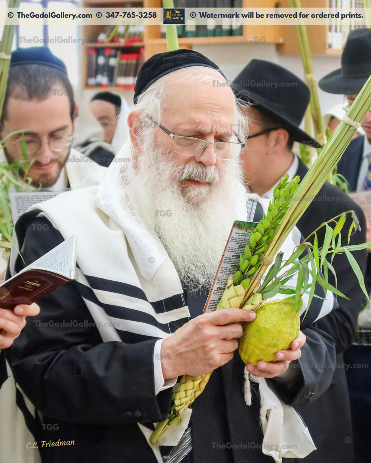 Rav Binyomin Carlbach -2