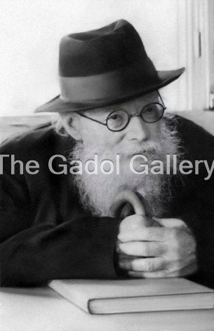The Chazon Ish -1- החזון איש Sukkah Poster