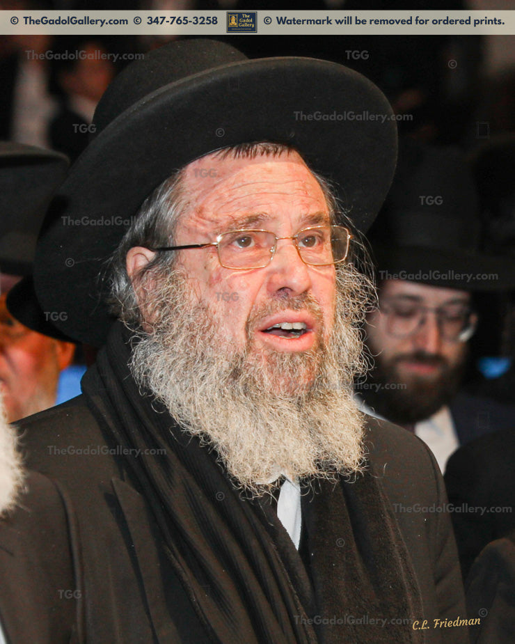 Rav Dovid Cohen - Eretz Yisroel 3 - רב דוד כהן