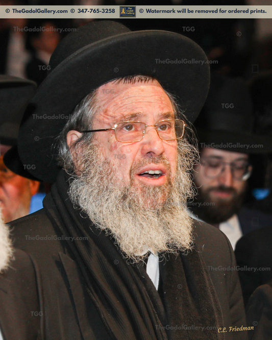 Rav Dovid Cohen - Eretz Yisroel 3 - רב דוד כהן