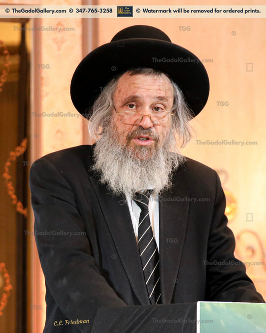 Rav Dovid Cohen - Eretz Yisroel 4 - רב דוד כהן