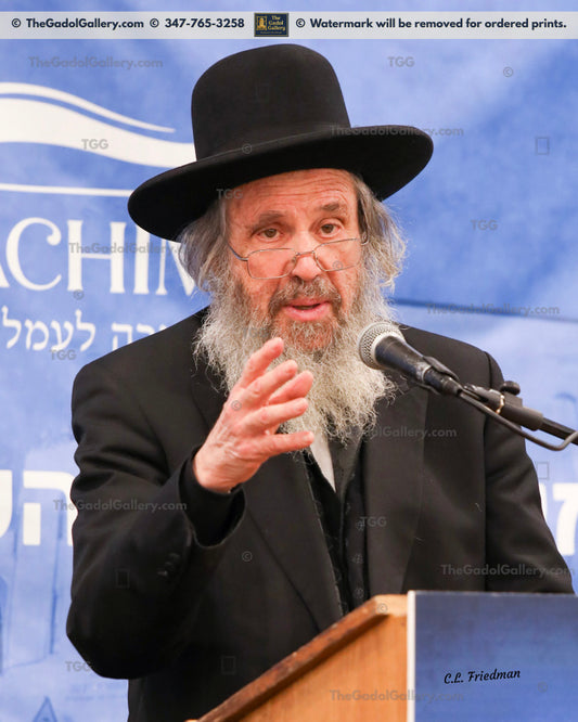 Rav Dovid Cohen - Eretz Yisroel 7 - רב דוד כהן