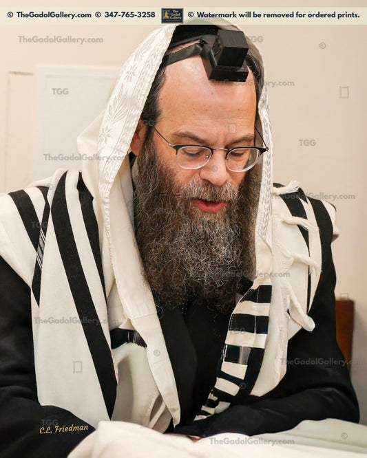 Rav Binyomin Cohen America -1- רב בנימין כהן