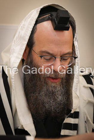 Rav Binyomin Cohen America